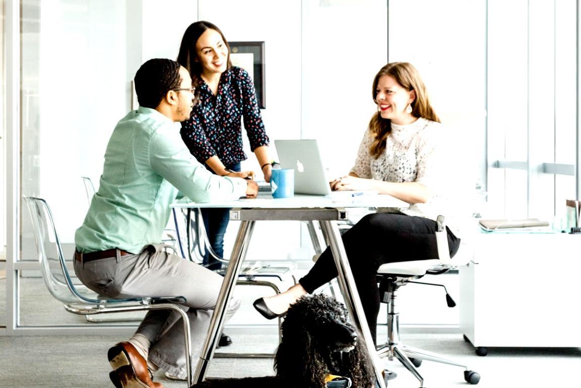 Market data visualization and investment trend tracking